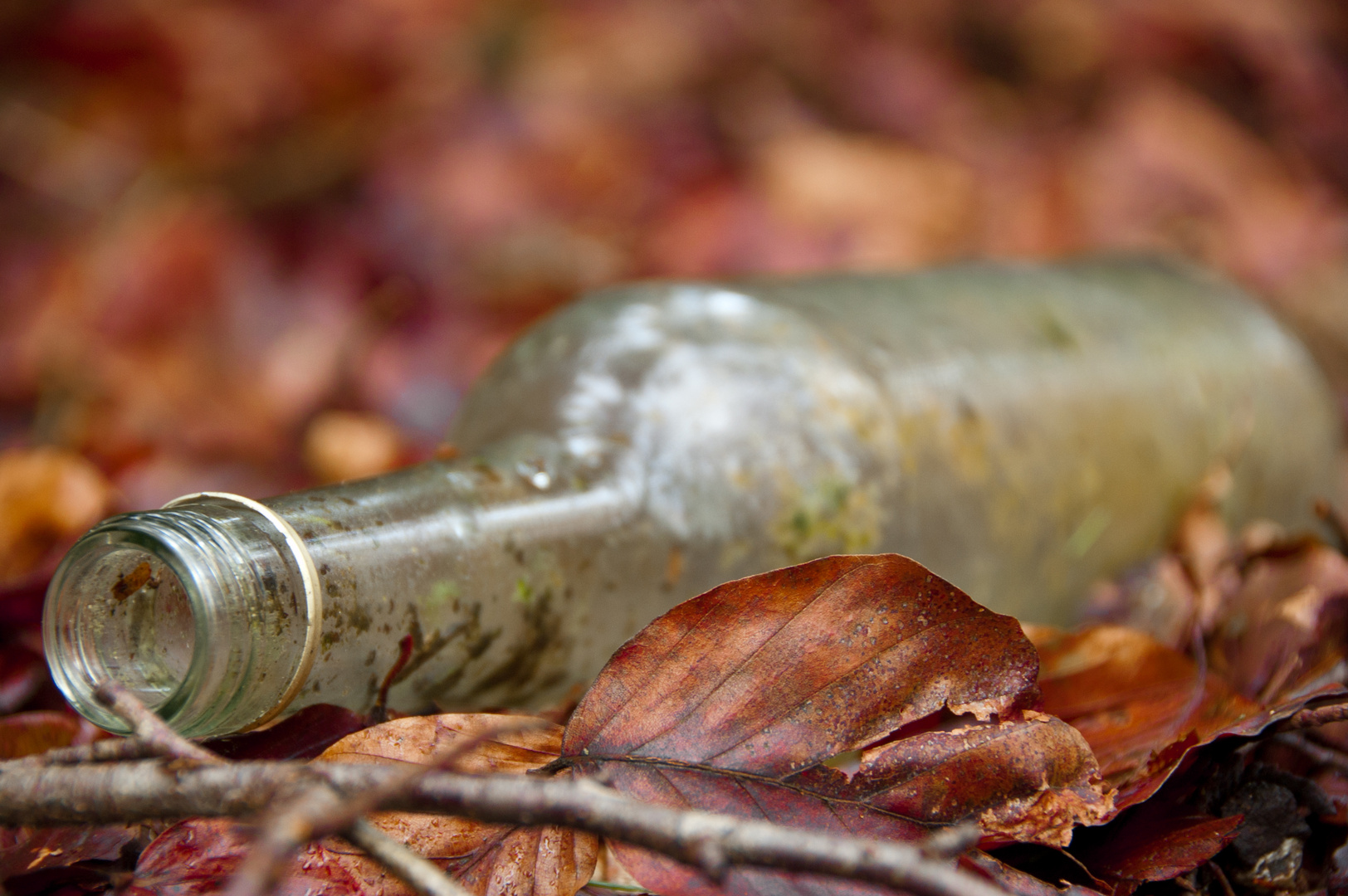 Der alkoholisierte Wald