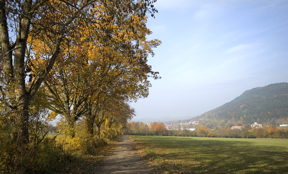 Der allerletzte schöne Tag?