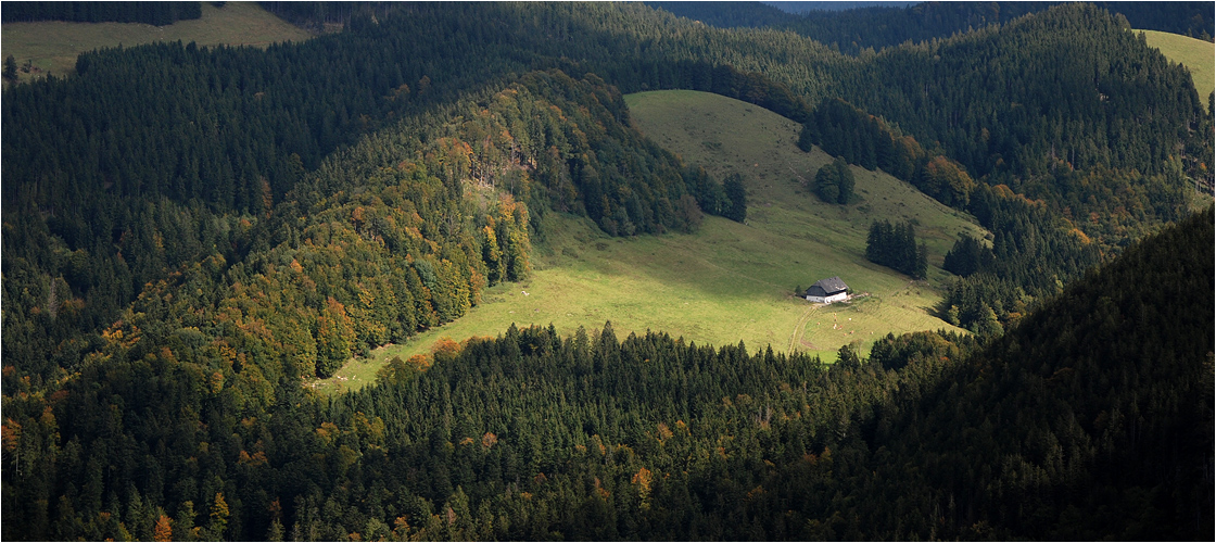 Der Almabtrieb