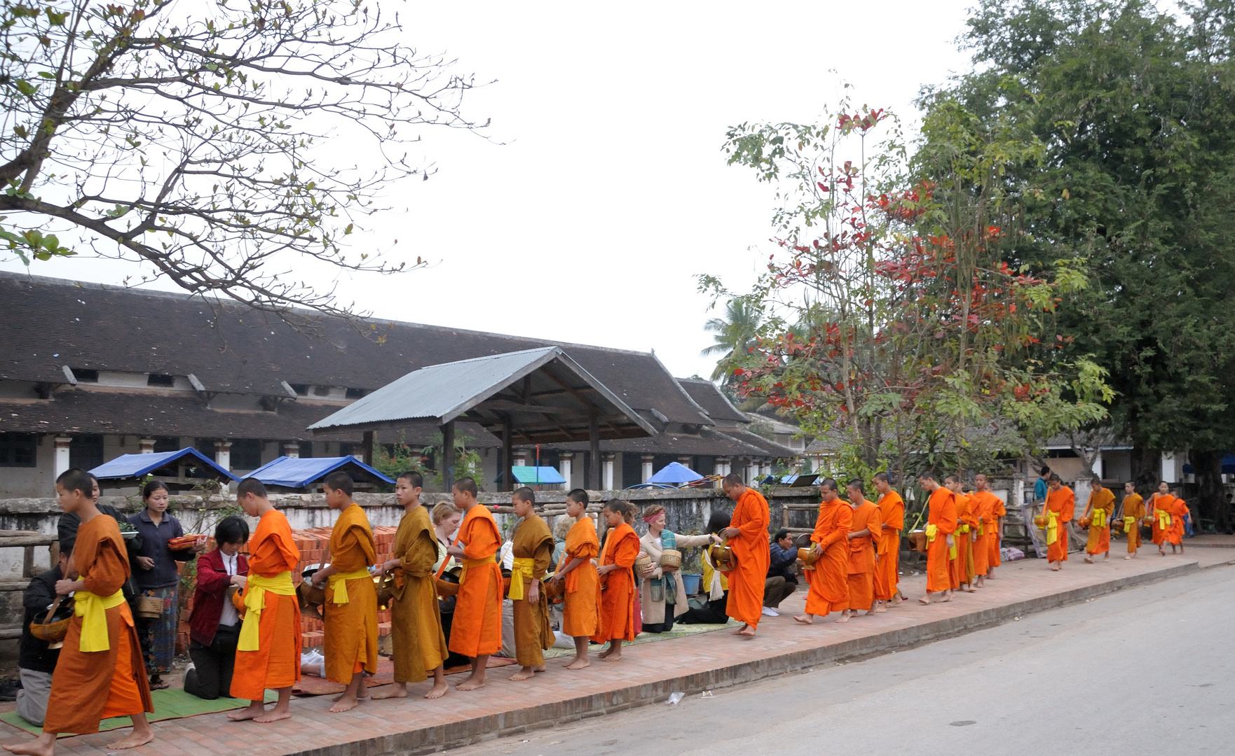 Der Almosengang in Luang Prabang