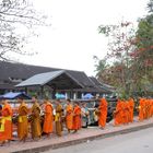 Der Almosengang in Luang Prabang