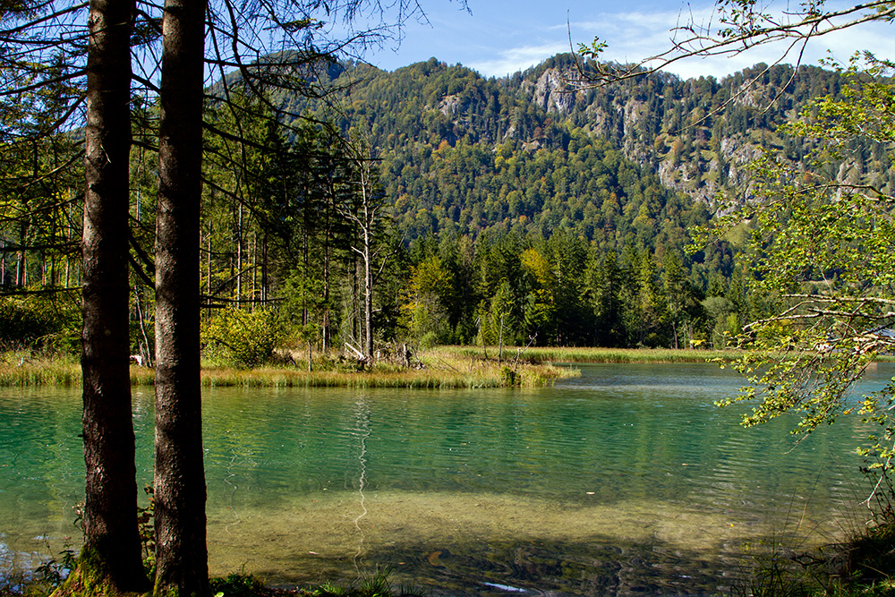 der Almsee