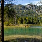 der Almsee