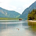 Der Almsee