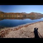 Der Almsee und ich