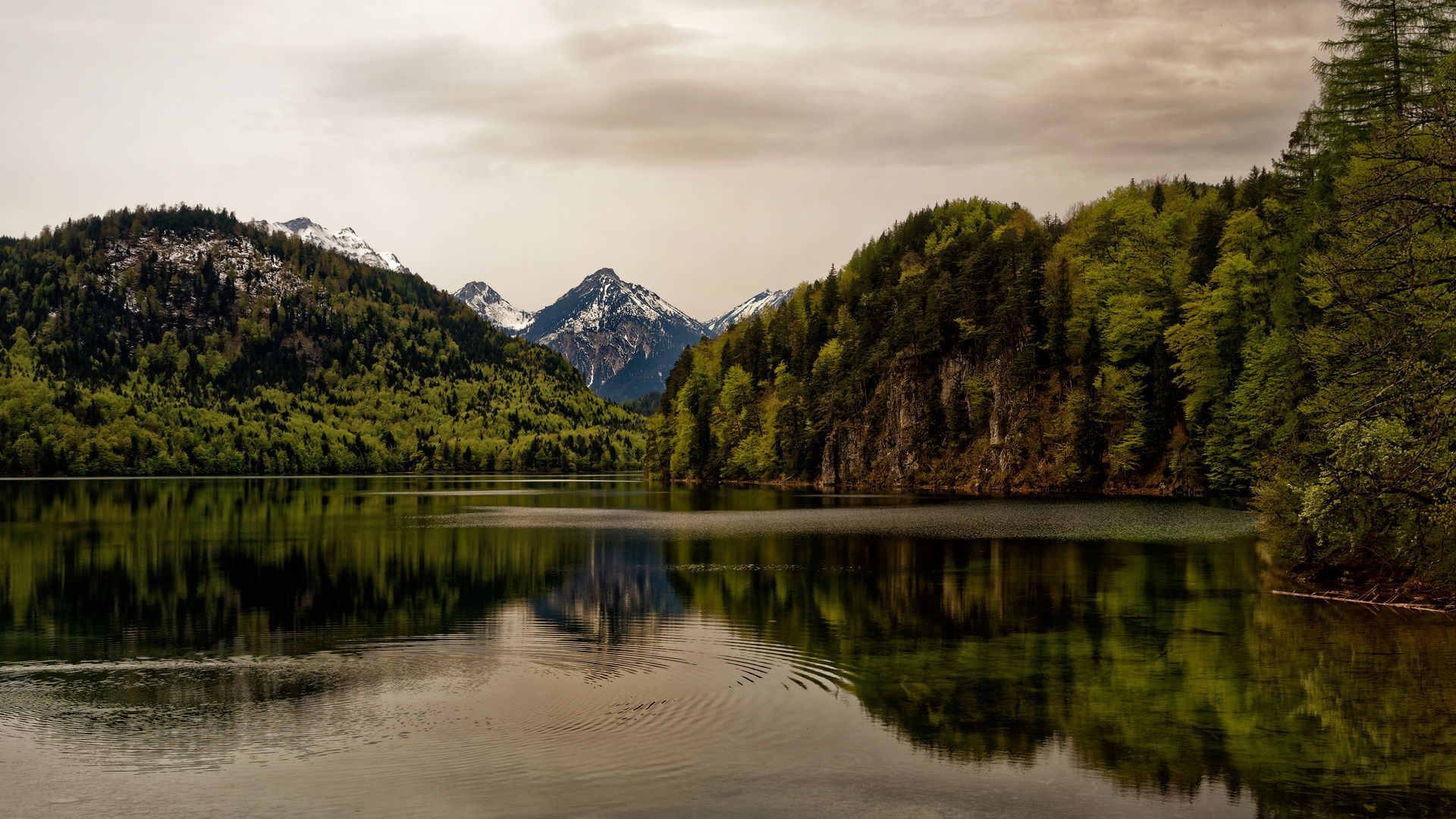 Der Alpsee