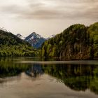 Der Alpsee