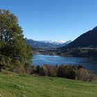 Der Alpsee