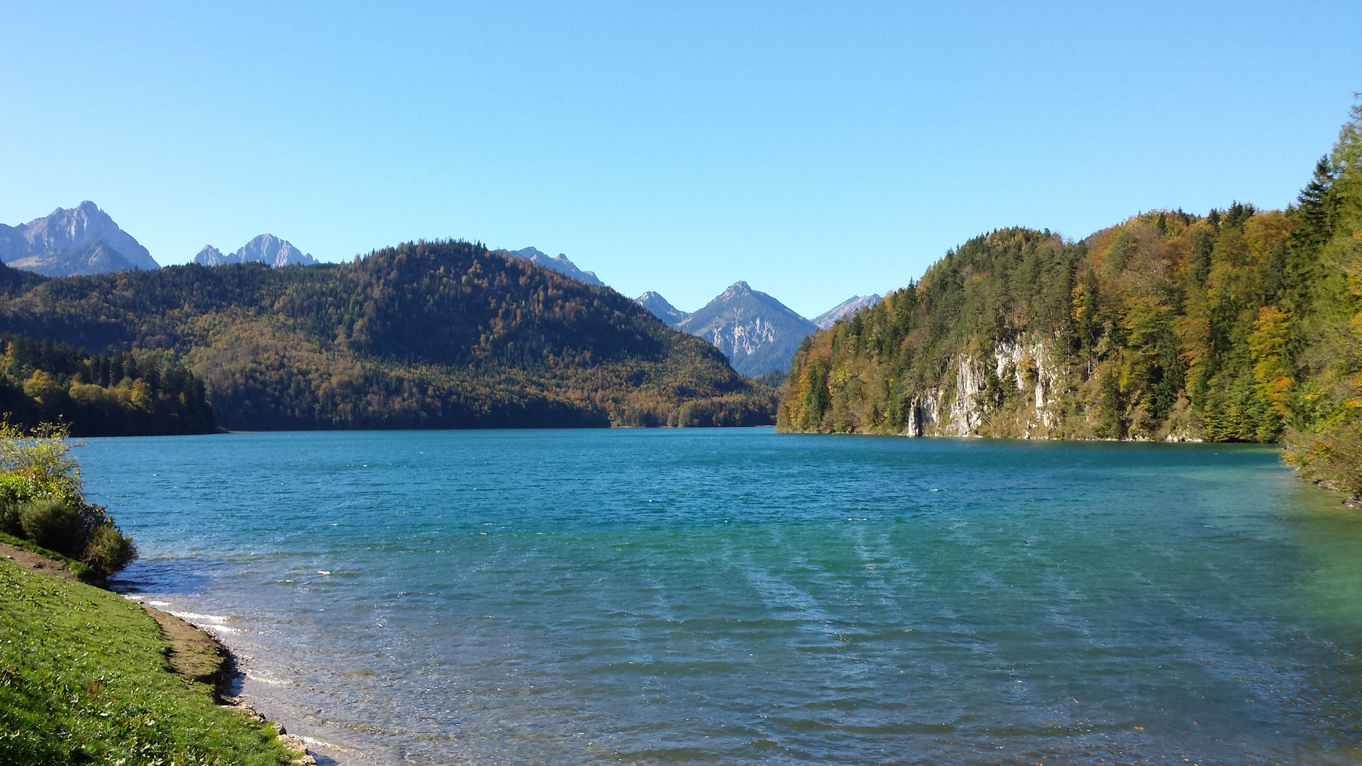 Der Alpsee