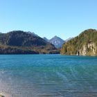 Der Alpsee