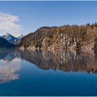 Der Alpsee