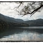 Der Alpsee