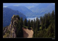 der Alpsee gesehen vom Tegelberg auf dem Naturpfad.....