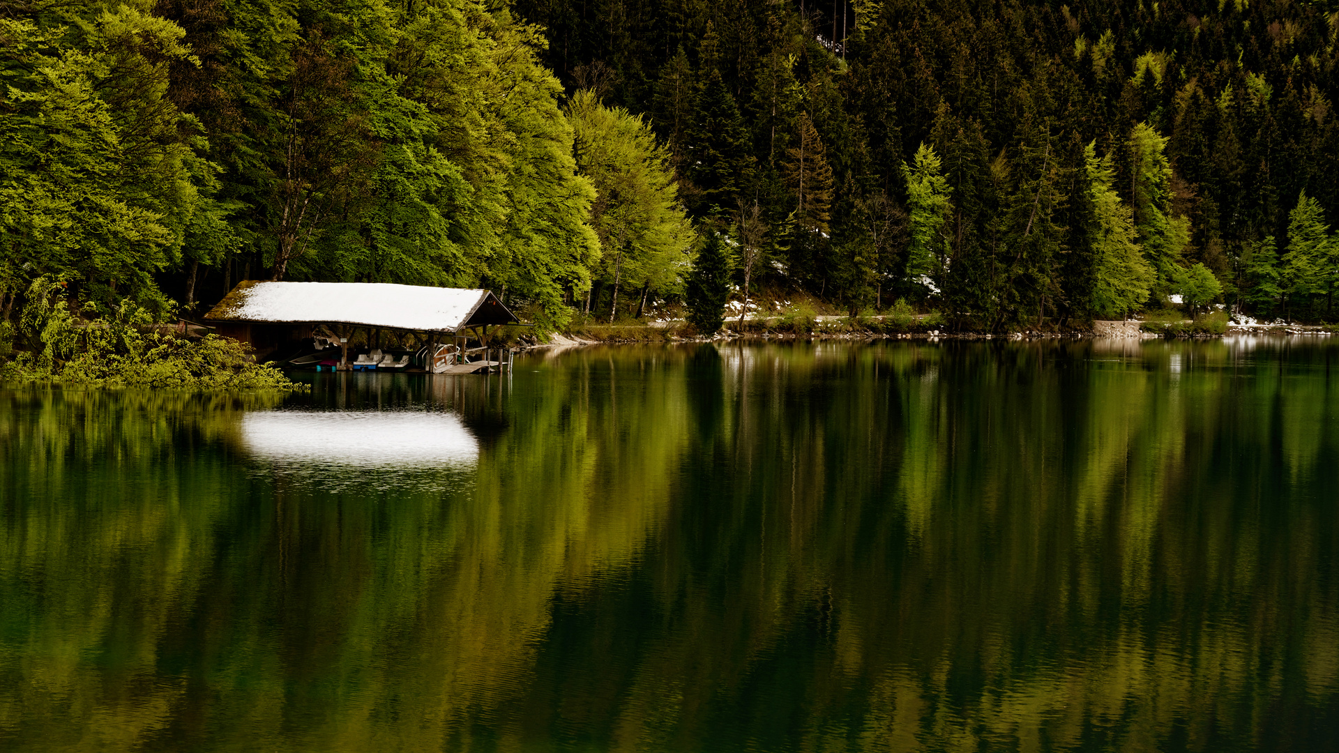 Der Alpsee im Frühling