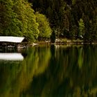 Der Alpsee im Frühling