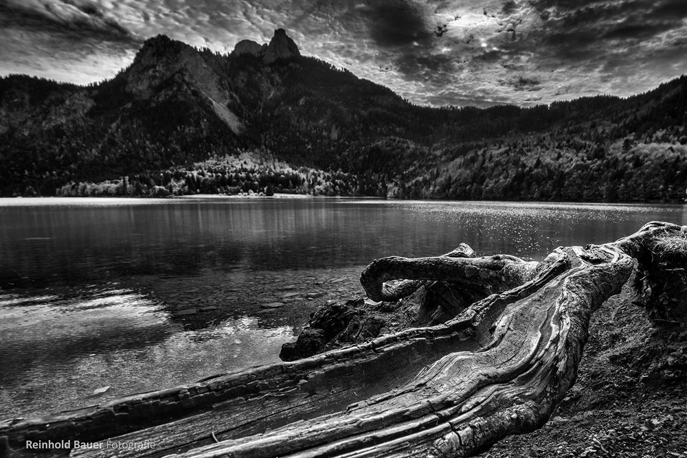 Der Alpsee in S/W