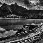 Der Alpsee in S/W