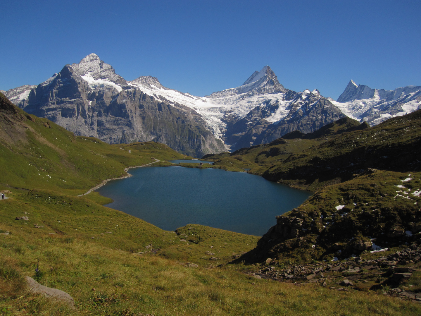 Der Alpsee  (Schweiz)