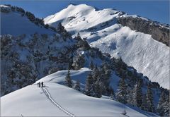 der Alpstein hat bei mir ...