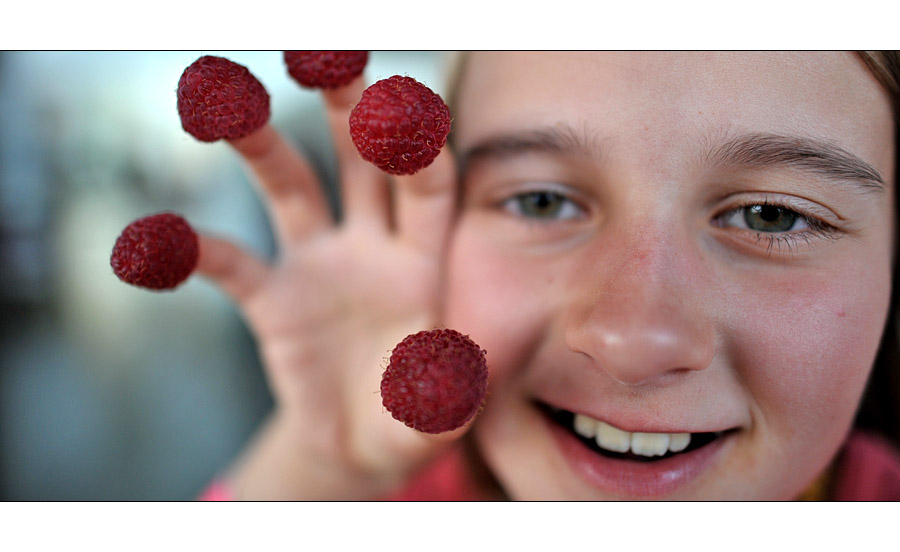 [ der alptraum der himbeeren ]