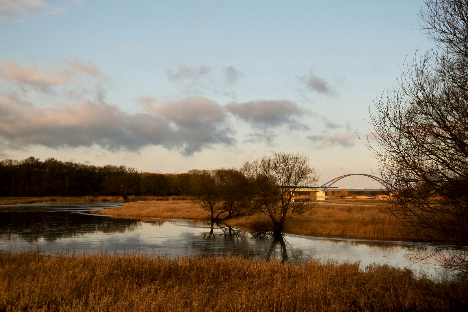 Der Altarm der Elbe