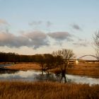 Der Altarm der Elbe