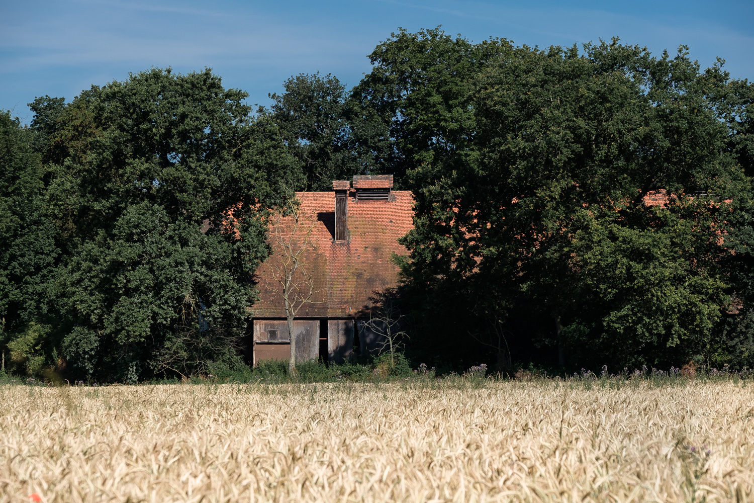 Der alte Bauernhof