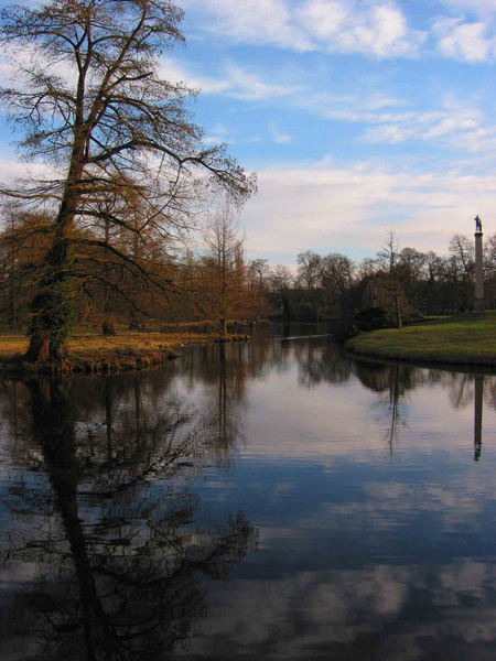 Der alte Baum am See