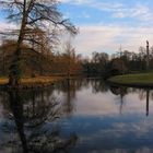 Der alte Baum am See