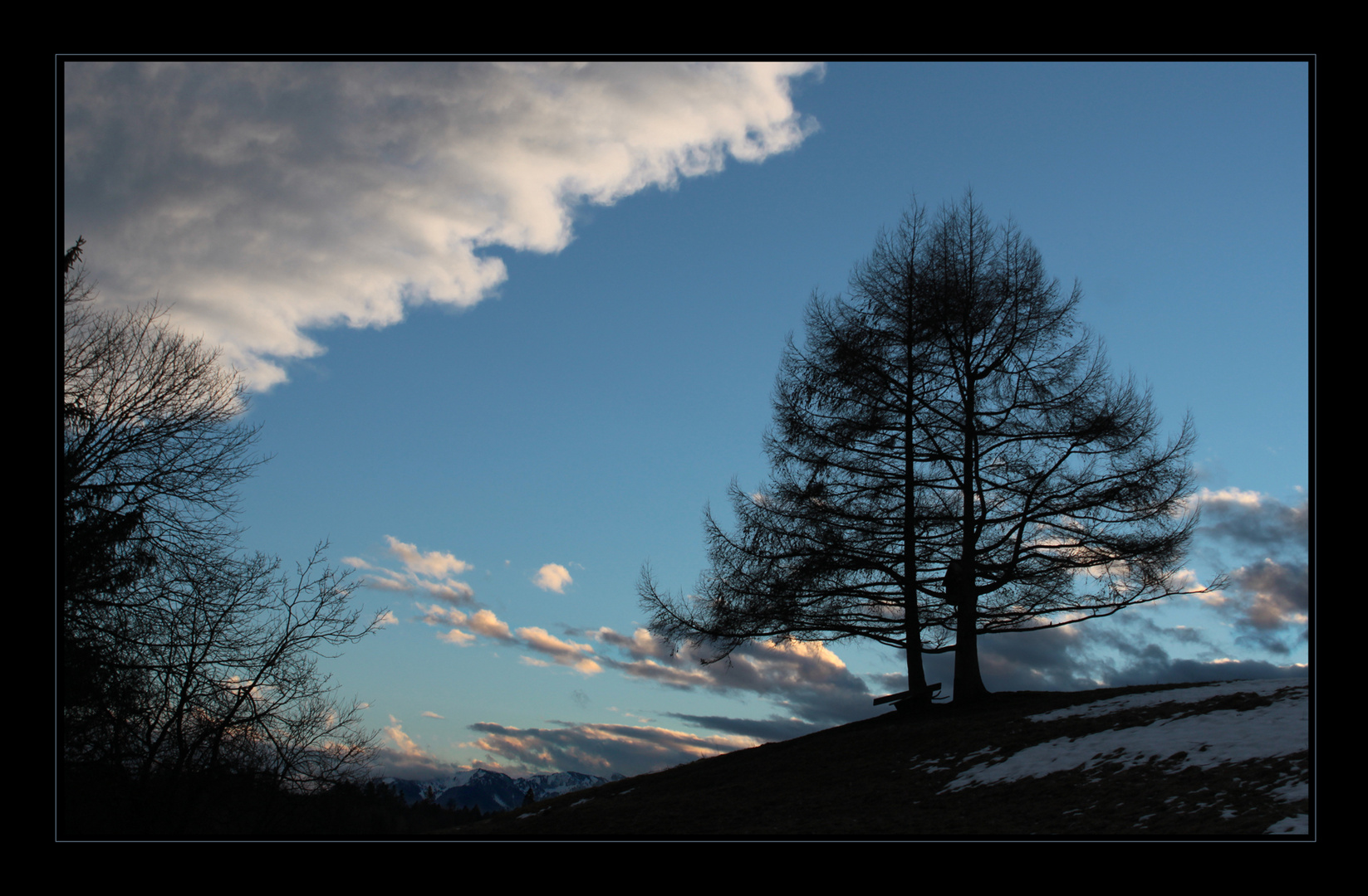 Der alte Baum auf dem Hügel, ...