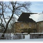 Der alte Baum und das Kloster