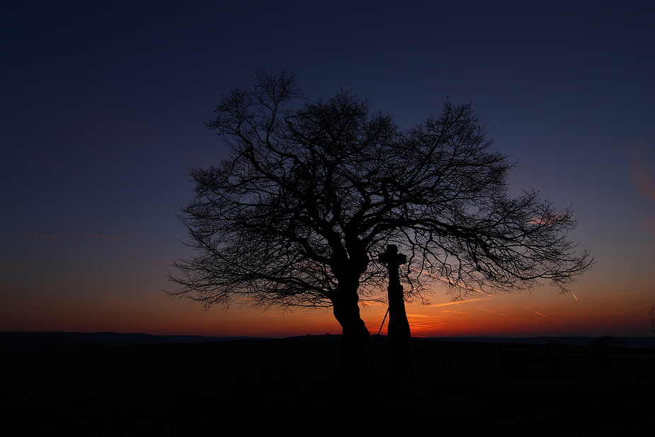 Der alte Baum und das Kreuz