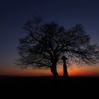 Der alte Baum und das Kreuz