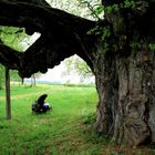 Der Alte Baum und das Mädchen