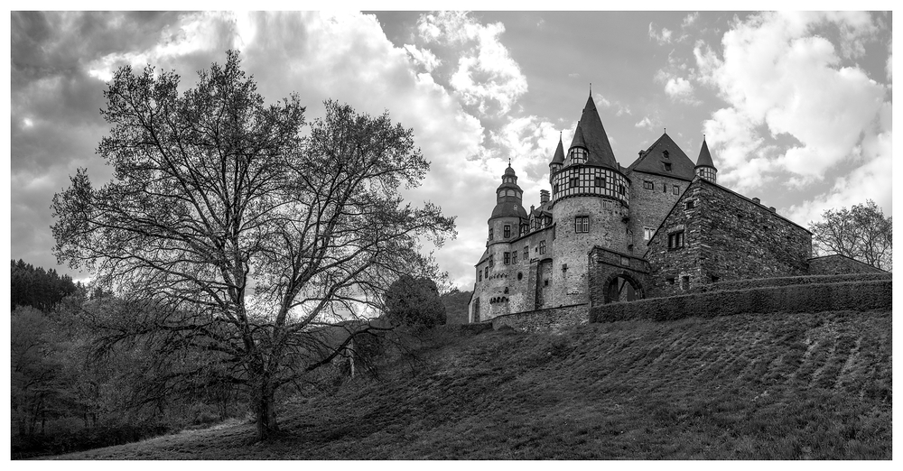 · Der alte Baum und das Schloss ·