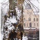 Der alte Baum und das Schloss