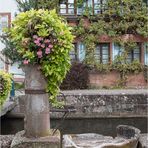 Der alte Brunnen an der Lauter