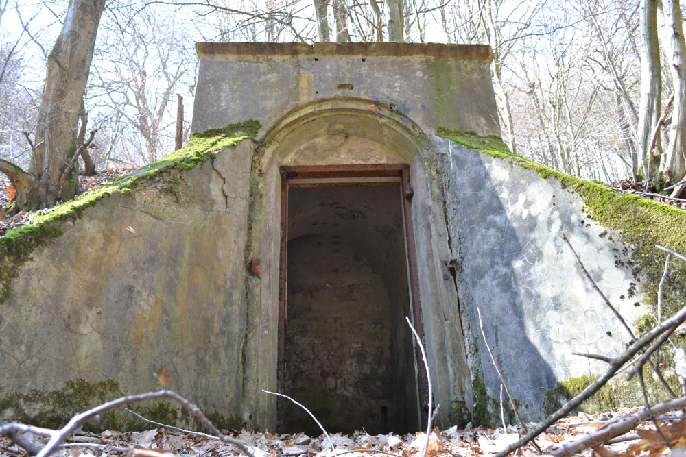 Der alte Bunker im Wald