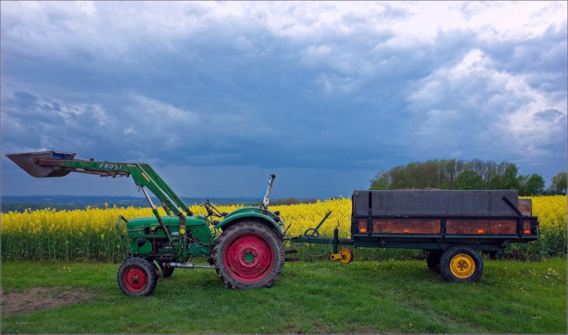 Der alte Deutz vor blühendem Rapsfeld... 