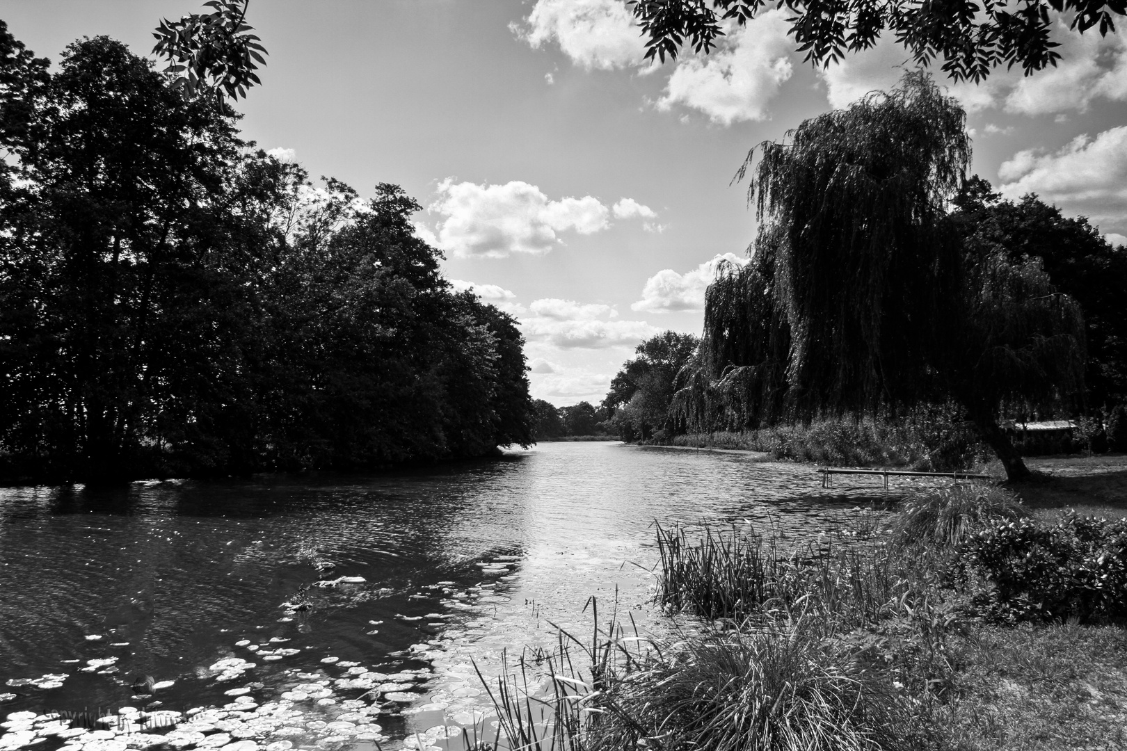 der alte Elbe-Havel-Kanal bei Genthin/SA