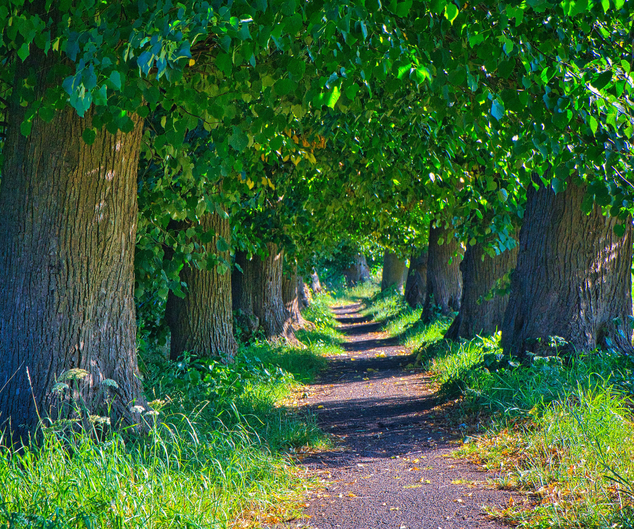 Der alte Eper Kirchweg