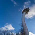 der alte Fernseturm 