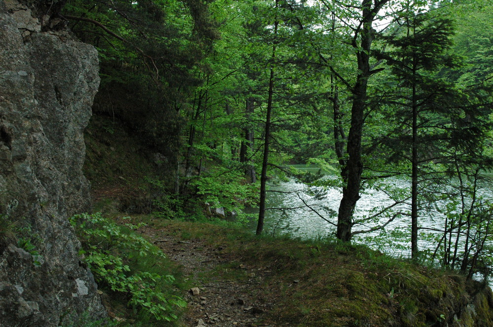 Der alte Franzdorfer Stausee