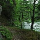 Der alte Franzdorfer Stausee