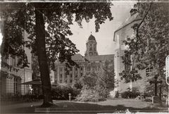 der alte Friedhof