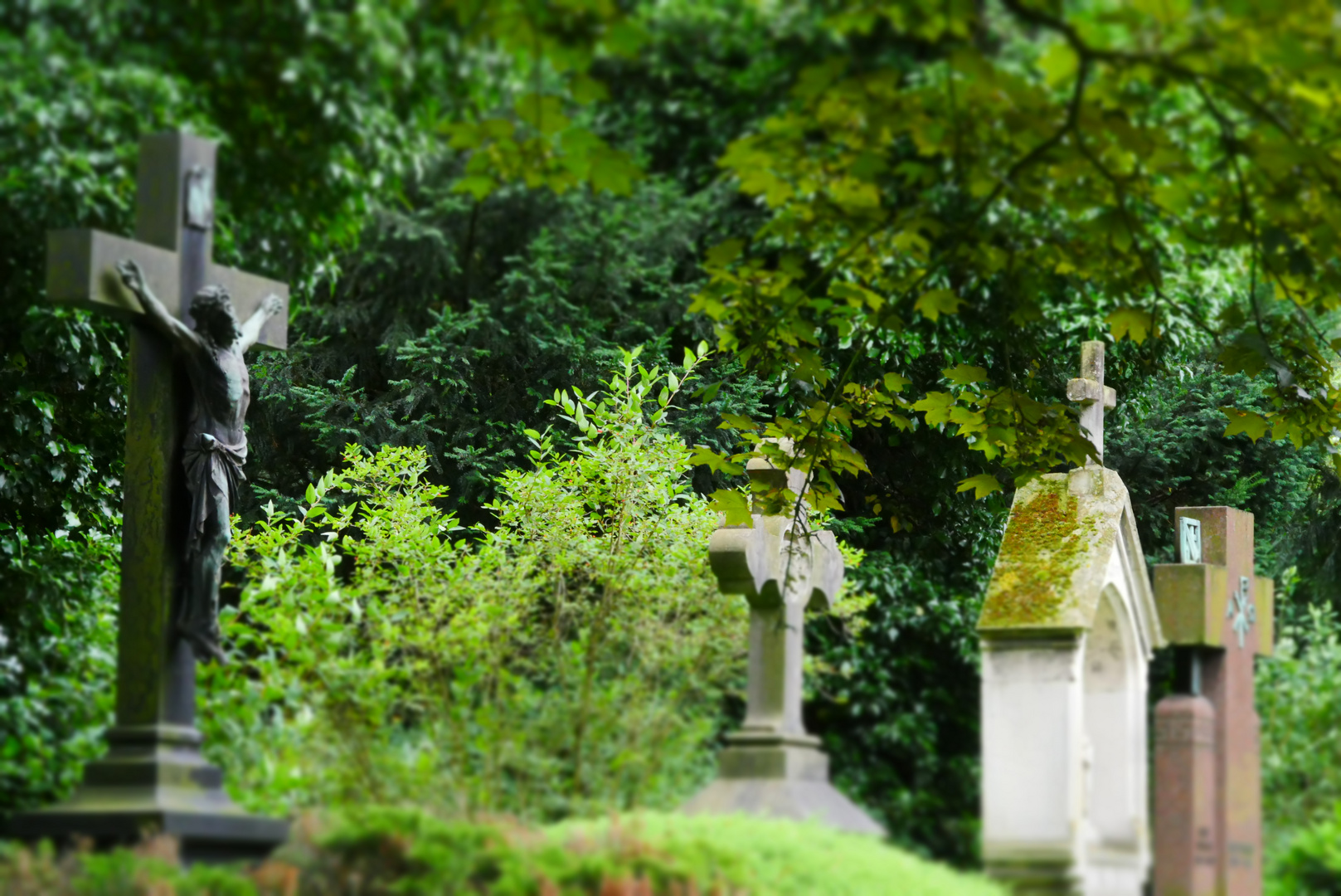 Der alte Friedhof