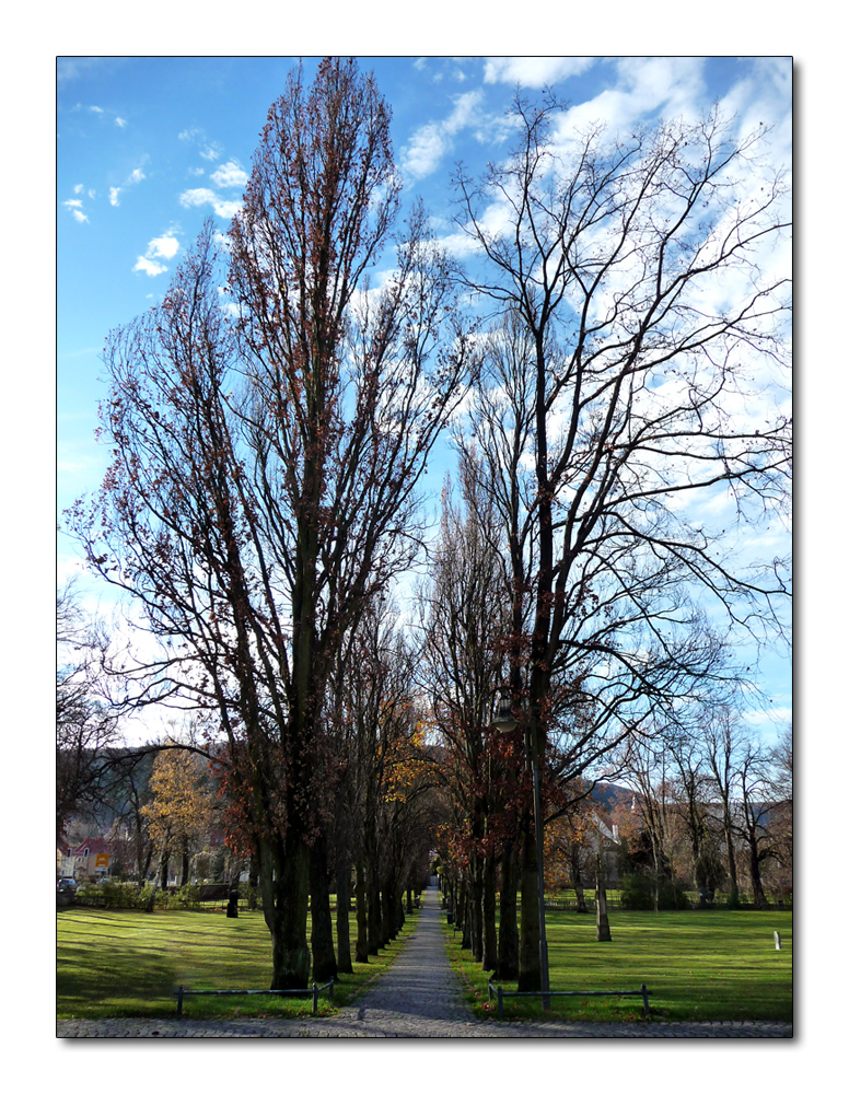 Der alte Friedhof