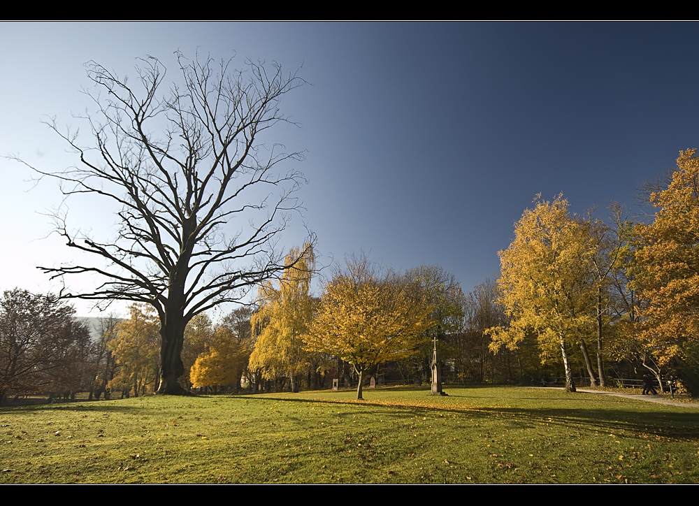 Der alte Friedhof