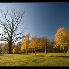 Der alte Friedhof