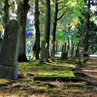 Der alte Friedhof